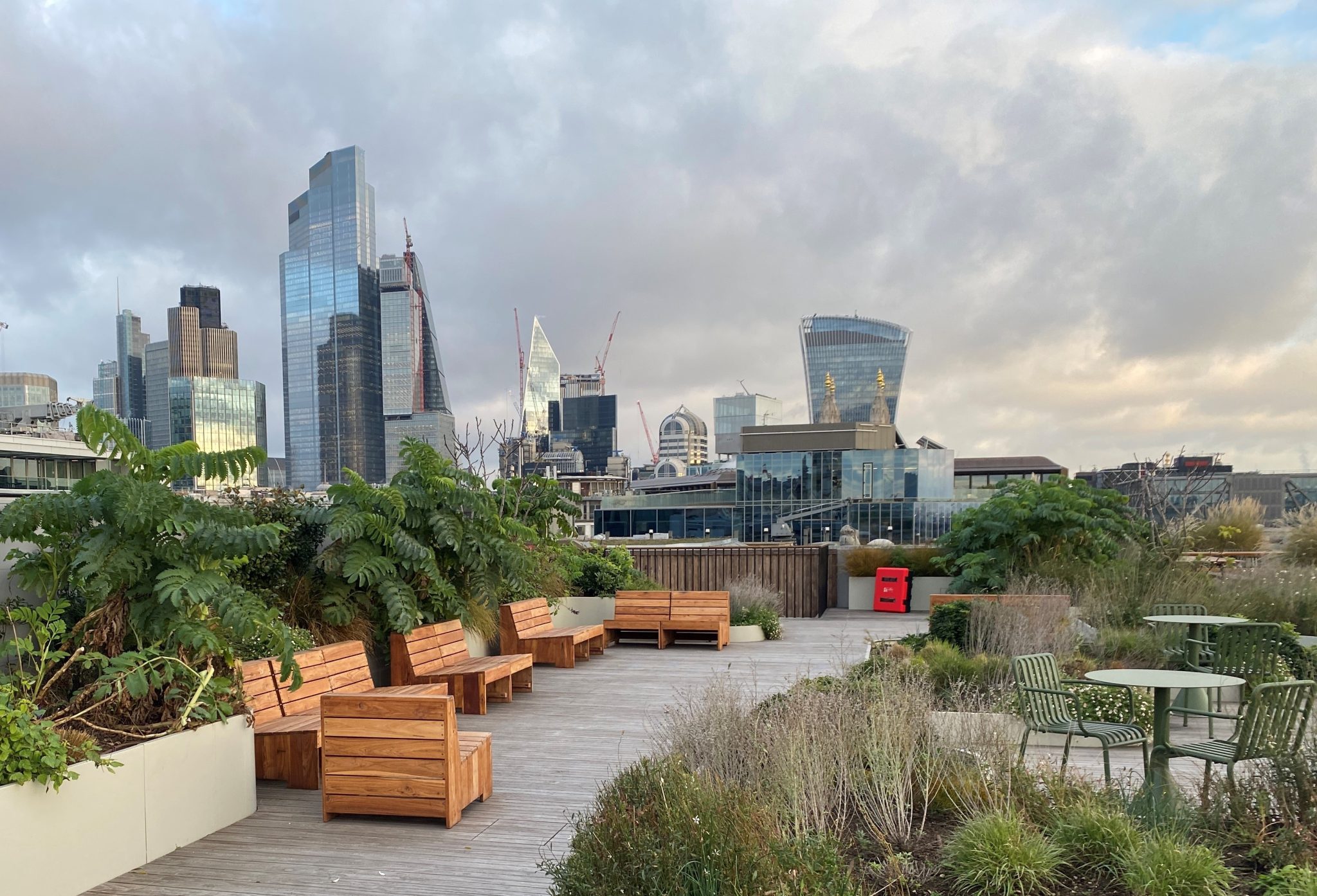 London Open Gardens weekend unveils the capital's unique green spaces