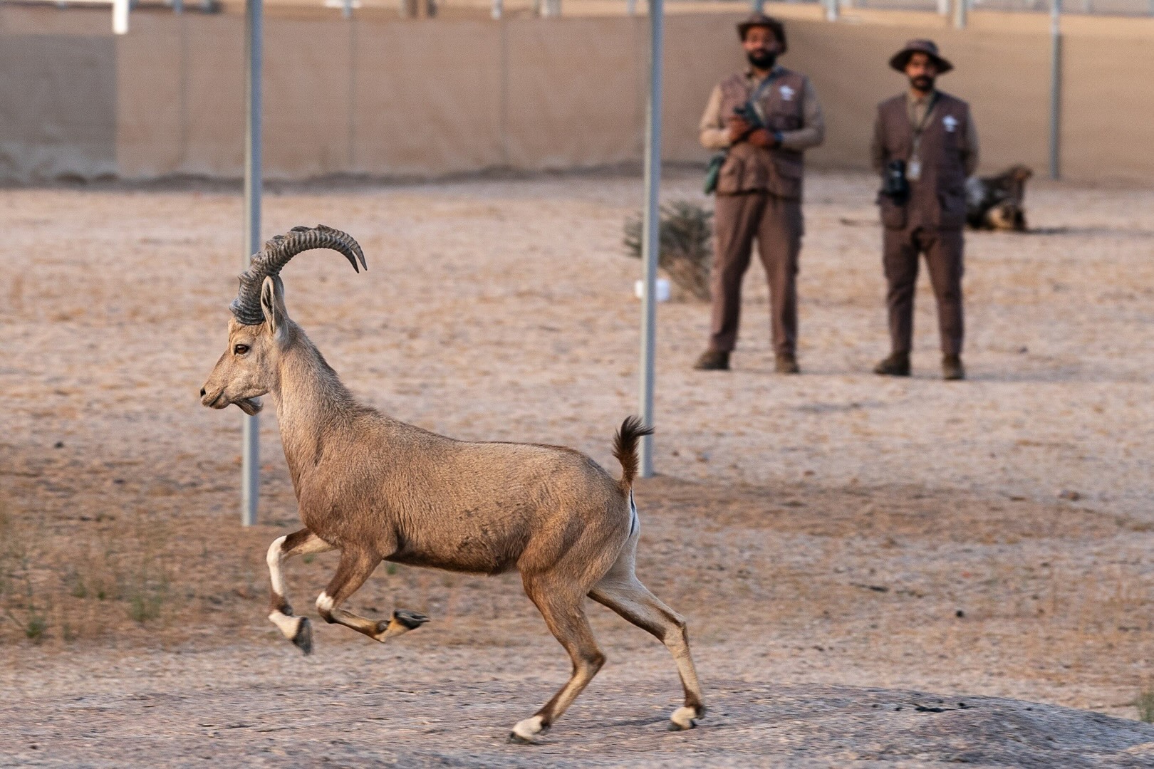 Prince Mohammed bin Salman Royal Reserve